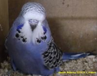 Babys 2013 002.JPG